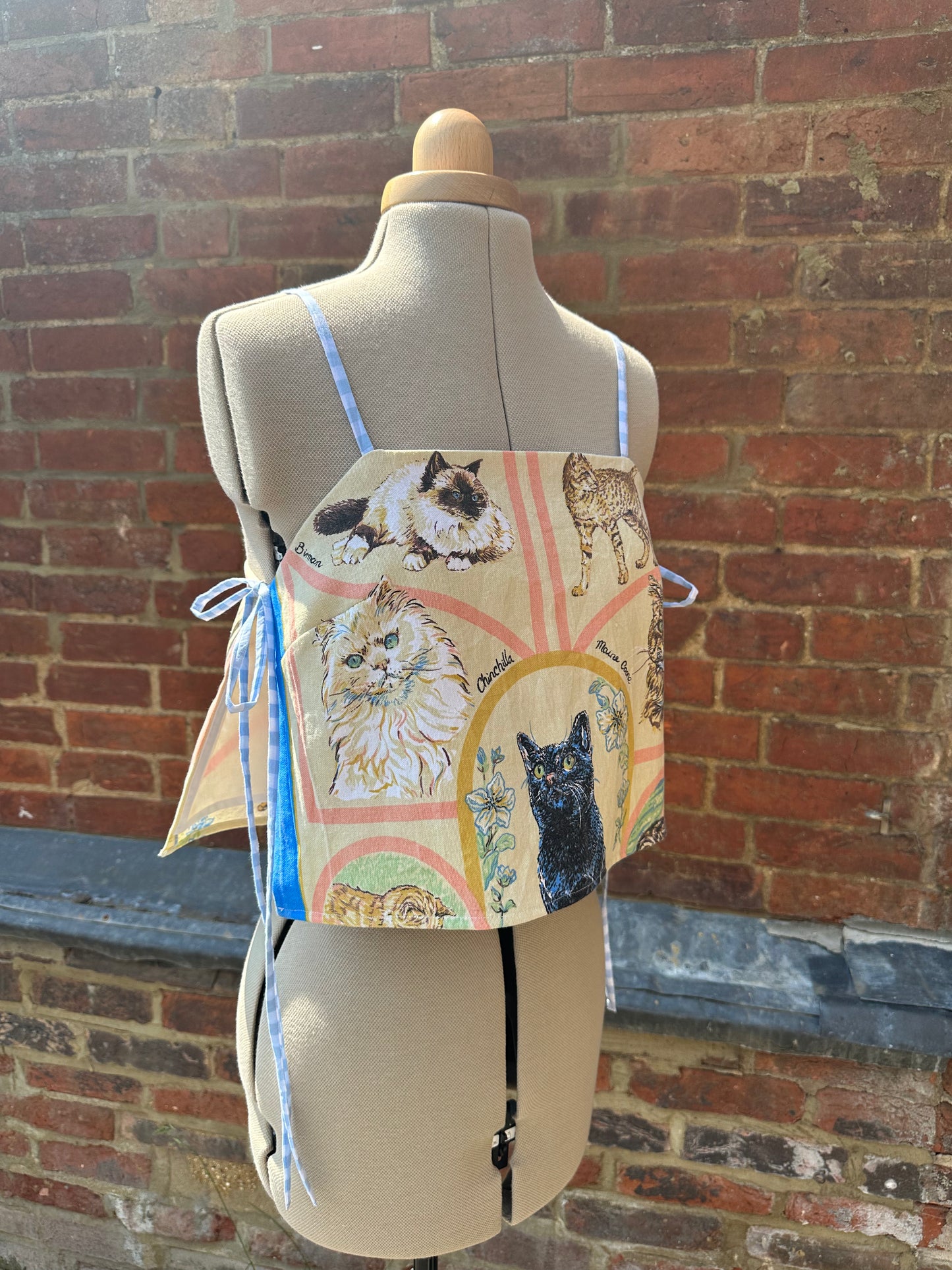 Pink/Blue Cats May Tie Side Cami Size 10-12